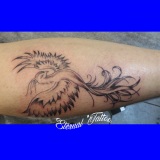 1-phenix-style
