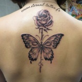 1-a-1-papillon-rose