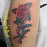 1-a-fleurs-rose-barbeles