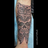 1-a-old-sugar-skull-hibou