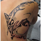 1-a-tribal-requin-maori-dos